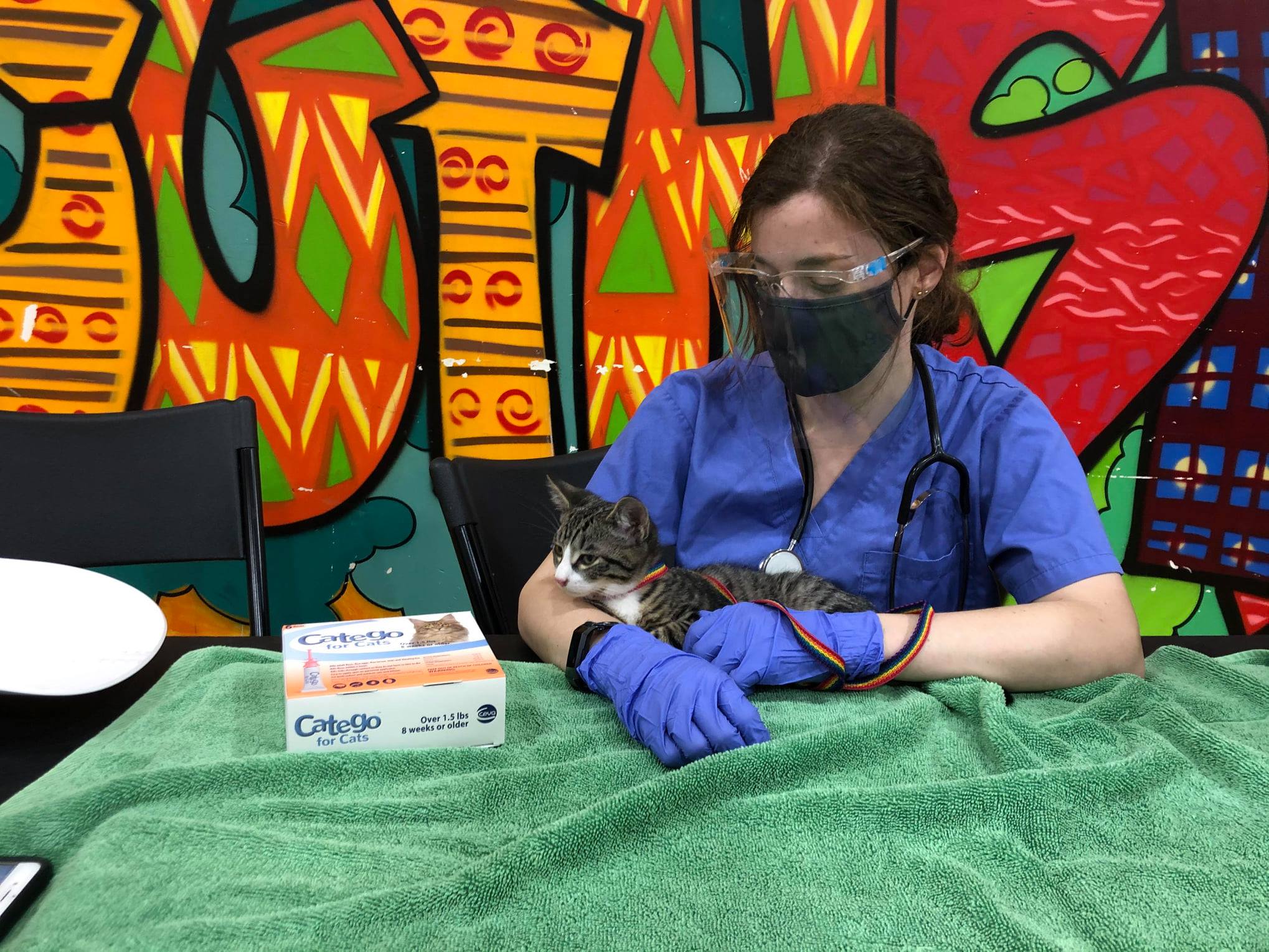 a student sits with a kitten