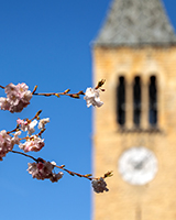 Cornell tower