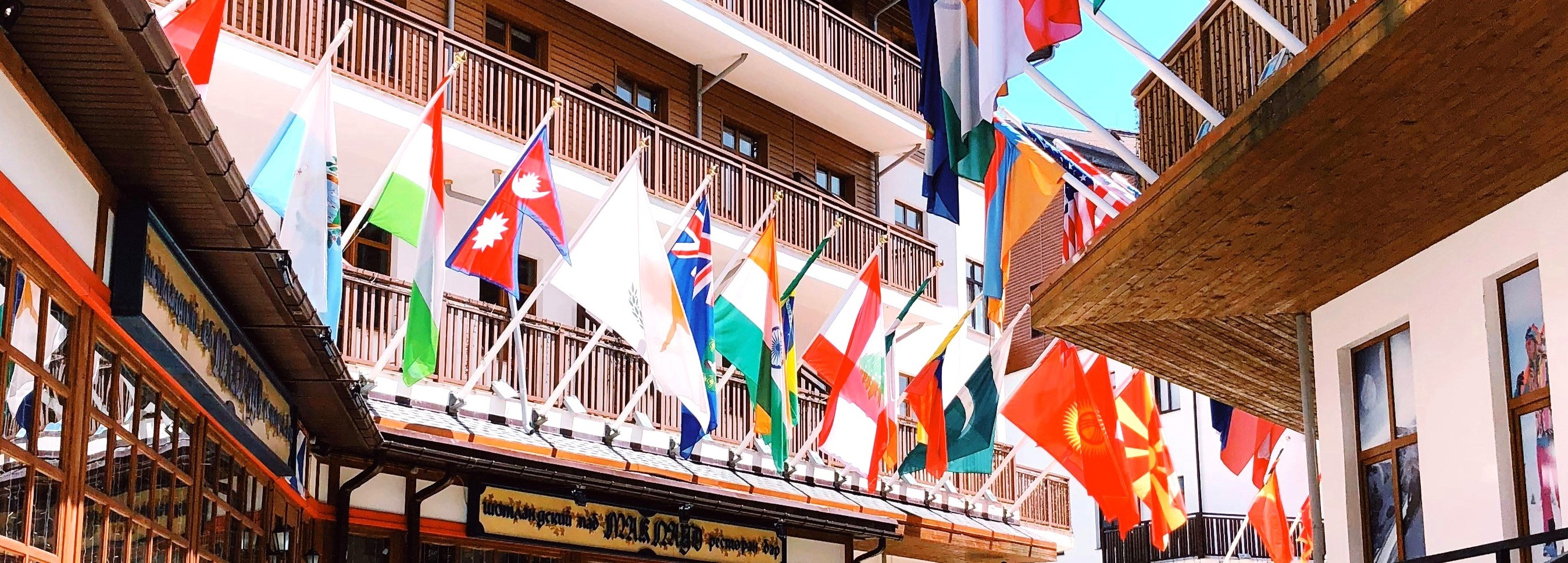 Cluster of world flags