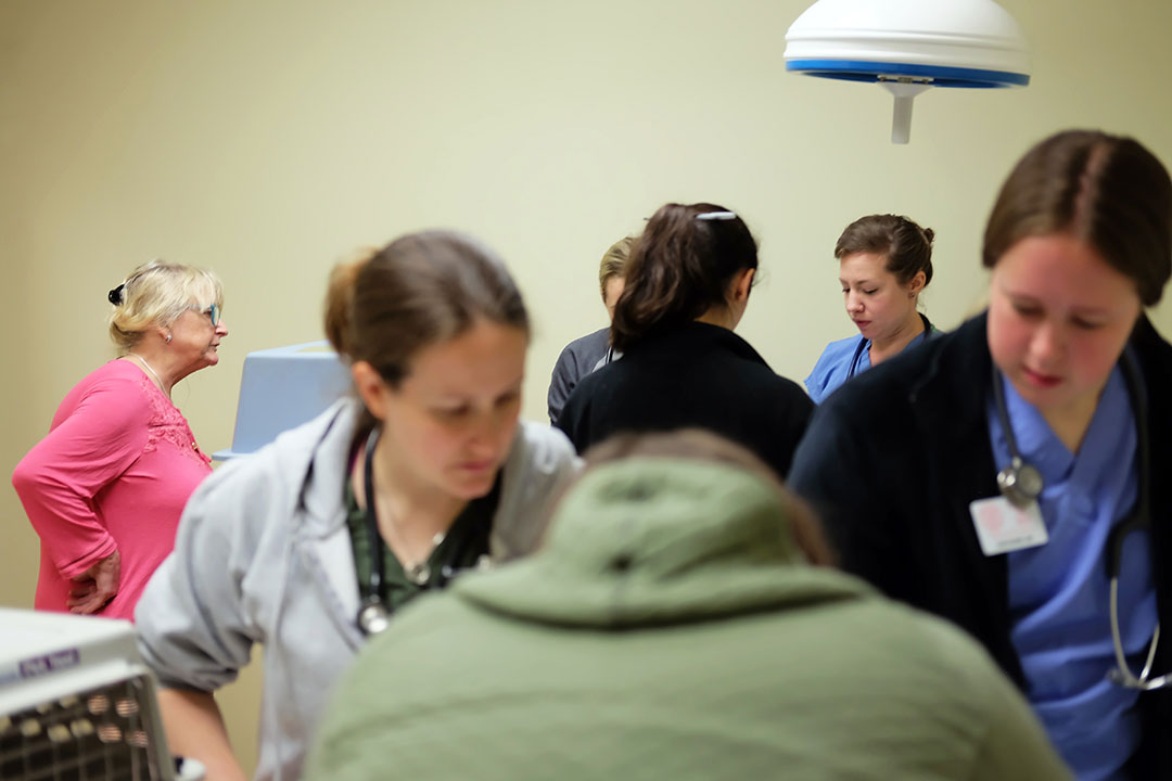 A busy exam room in Schulyer County