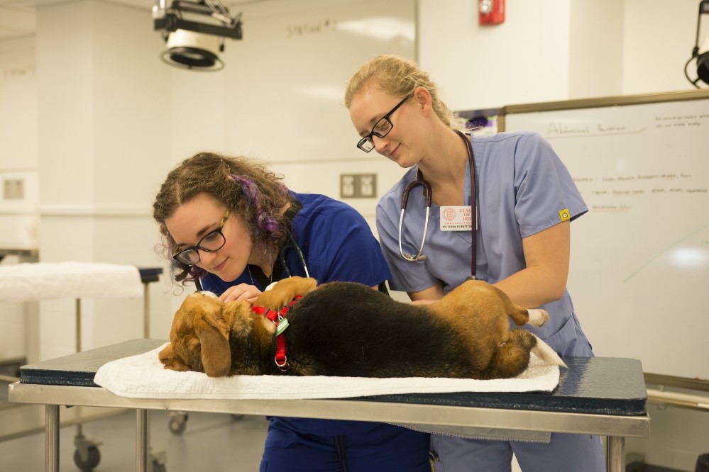 Standardized Tests Cornell University College Of Veterinary Medicine