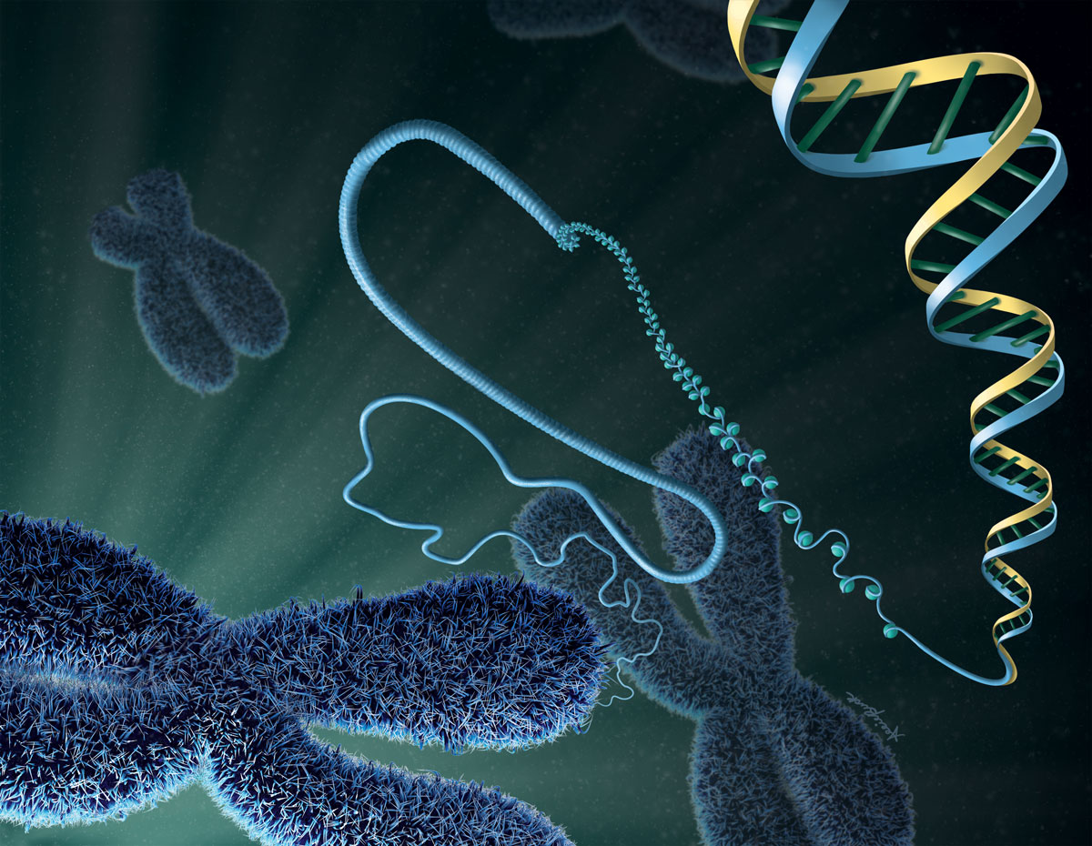 DNA Molecule Structure As Multi Color Chains In Close Up. Chromosome Or  Genetic Mutation As Digital Background. Generative AI. Geometric DNA Chains  Close Up. Stock Photo, Picture and Royalty Free Image. Image