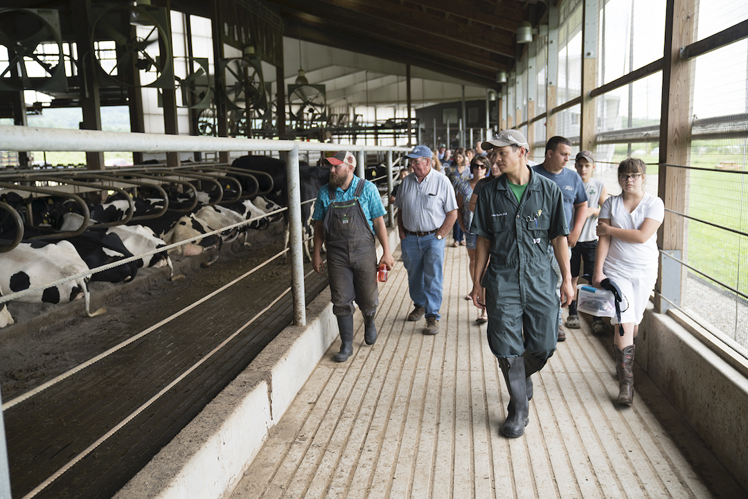 Dr. Blake Nguyen leads a dairy barn tour