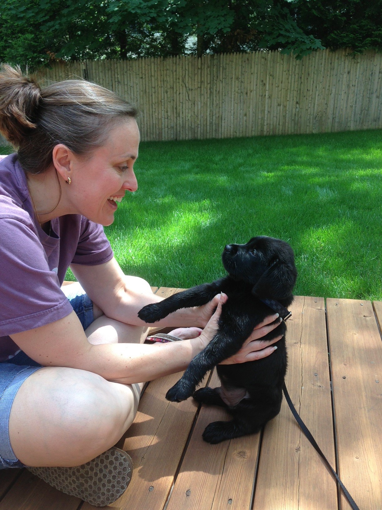 Galaxie as a puppy being held by his owner