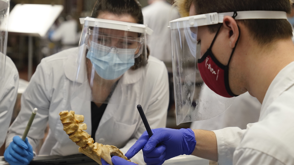 Two students examine a bone during a neuroanatomy lab, each wearing face masks and shields