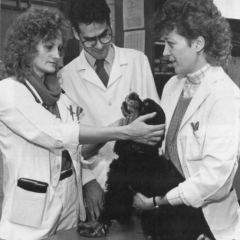 Dr. Patricia Tamke performs a physical exam on a dog with students observing in 1987