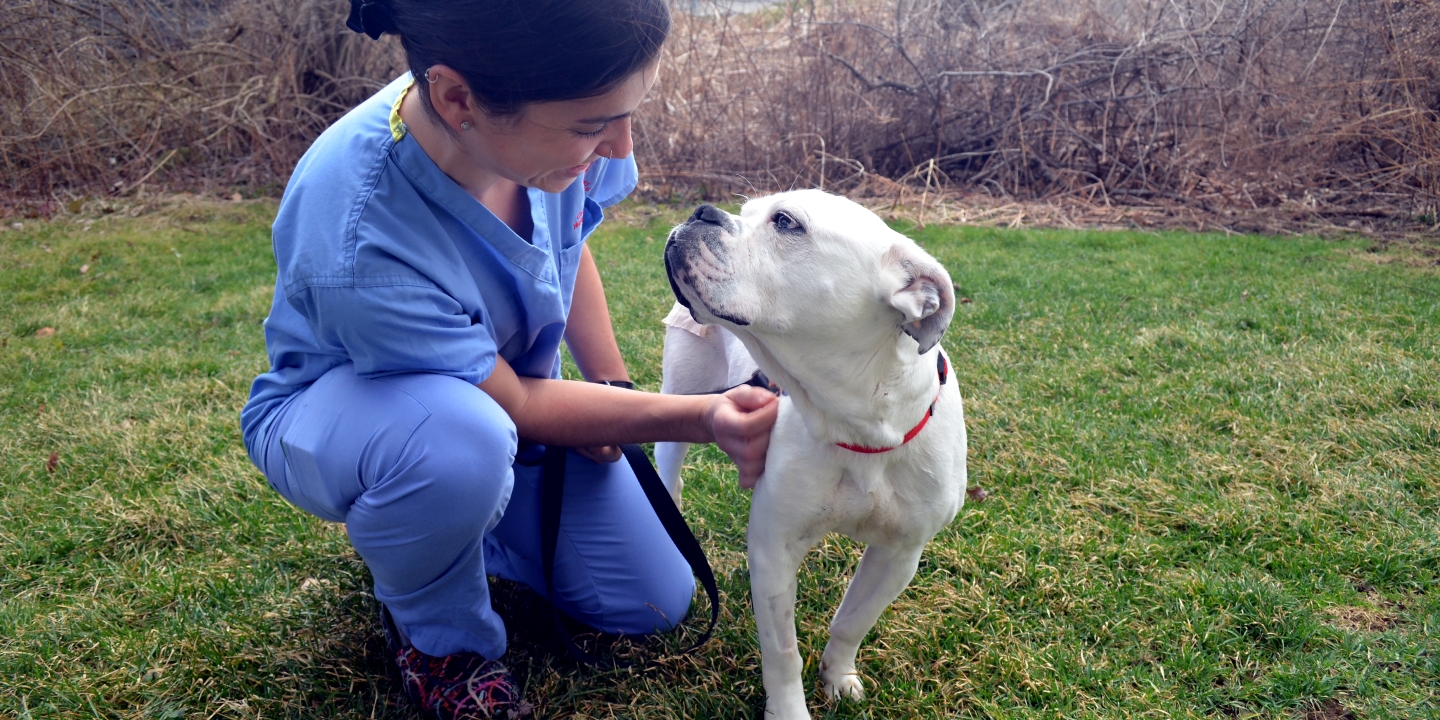 A woman petting a dog