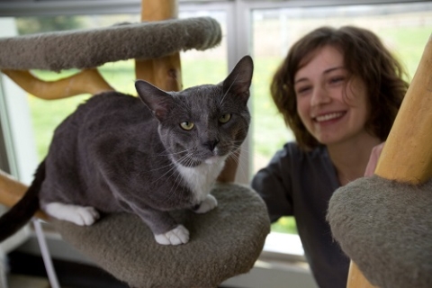 A woman gazes happily at a gray cat