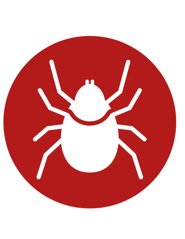 Icon of a tick