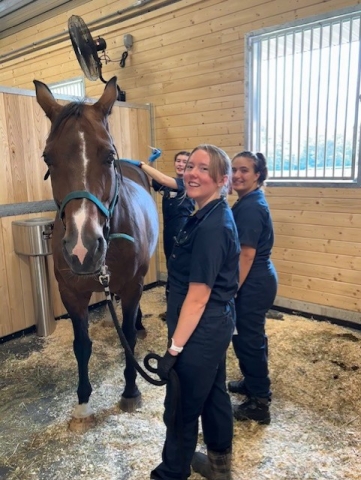 people with a horse at the new equine park facility