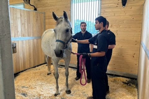 People with a horse at the the new equine park facility