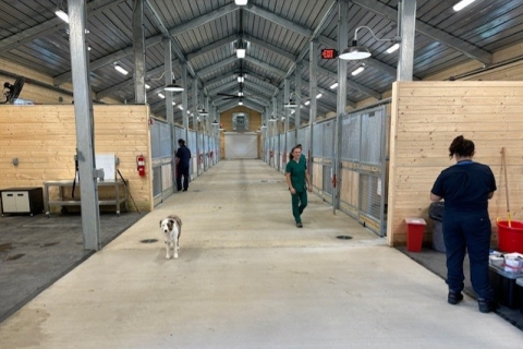 Inside the new equine park facility