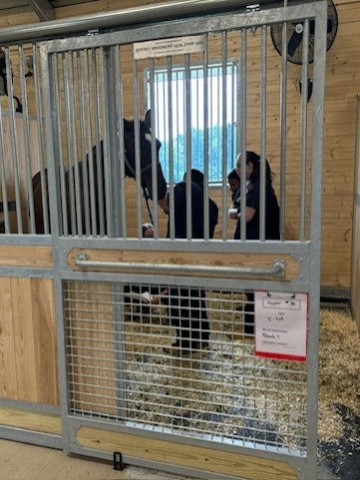 people with a horse at the new equine park facility