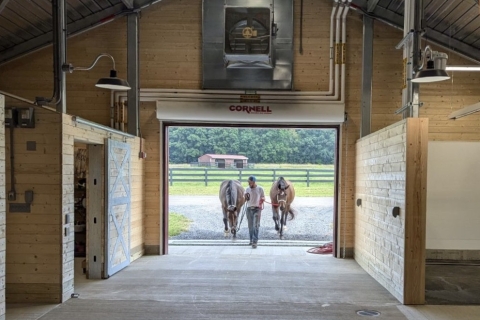 the new equine park facility