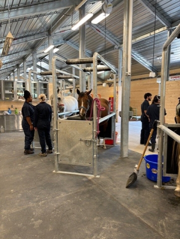 inside the new equine park facility