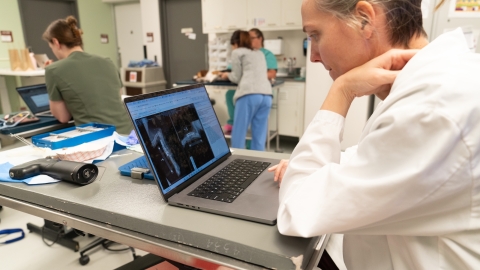 Dr. Selena Tinga examining x-rays at a laptop in a busy treatment room