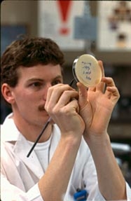 A photo of a scientist with a mustache working in a lab at the Baker Institute.  