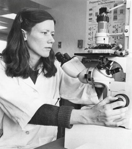 A black and white photo shows a woman working at a microscope.