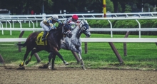 a brown and a gray racehorse running on a race track