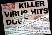 A photo of a newspaper with a number of scary headlines about parvovirus.