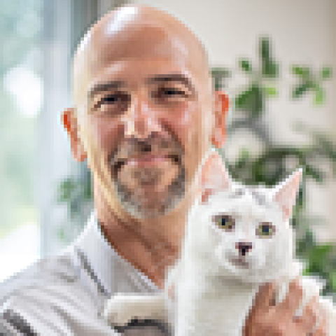 Bruce Kornreich, DVM, PhD, Director Cornell Feline Health Center