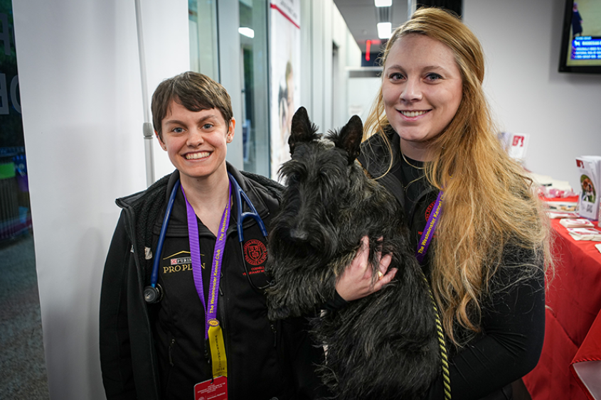 Two veterinarians with dog