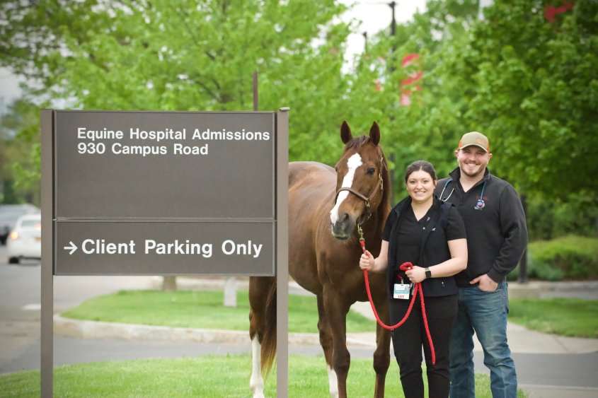 vet tech with horse near hospital