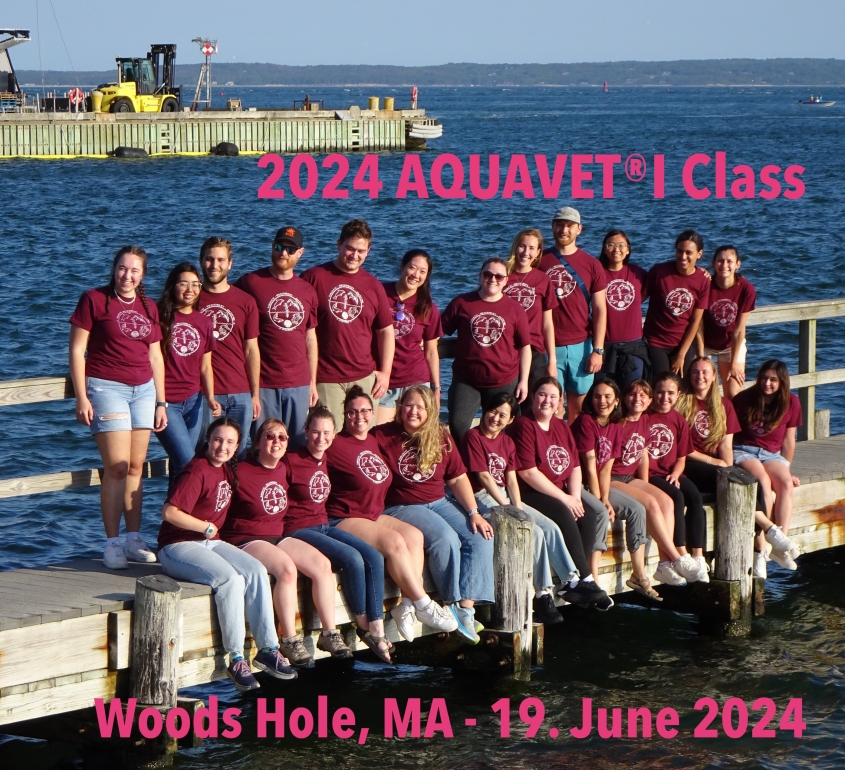 2024 AQUAVET 1 class photo on dock in Woods Hole, MA