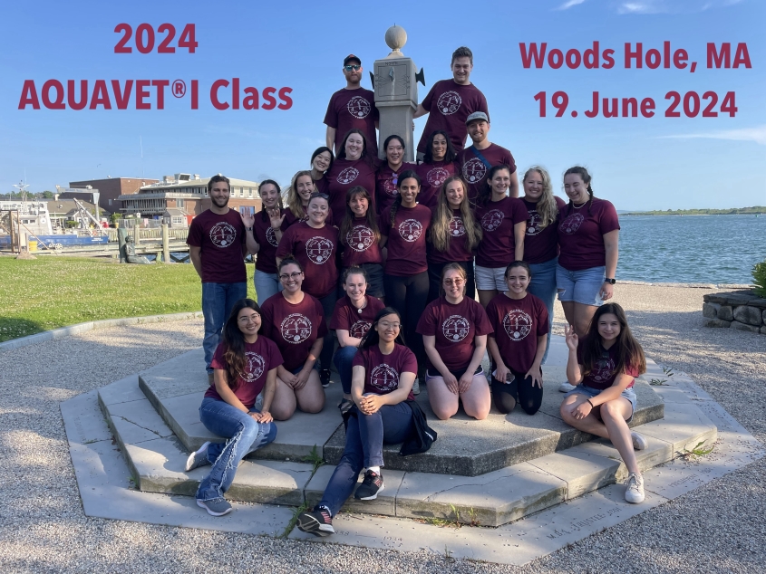 2024 AQUAVET 1 class photo at monument in Woods Hole, MA