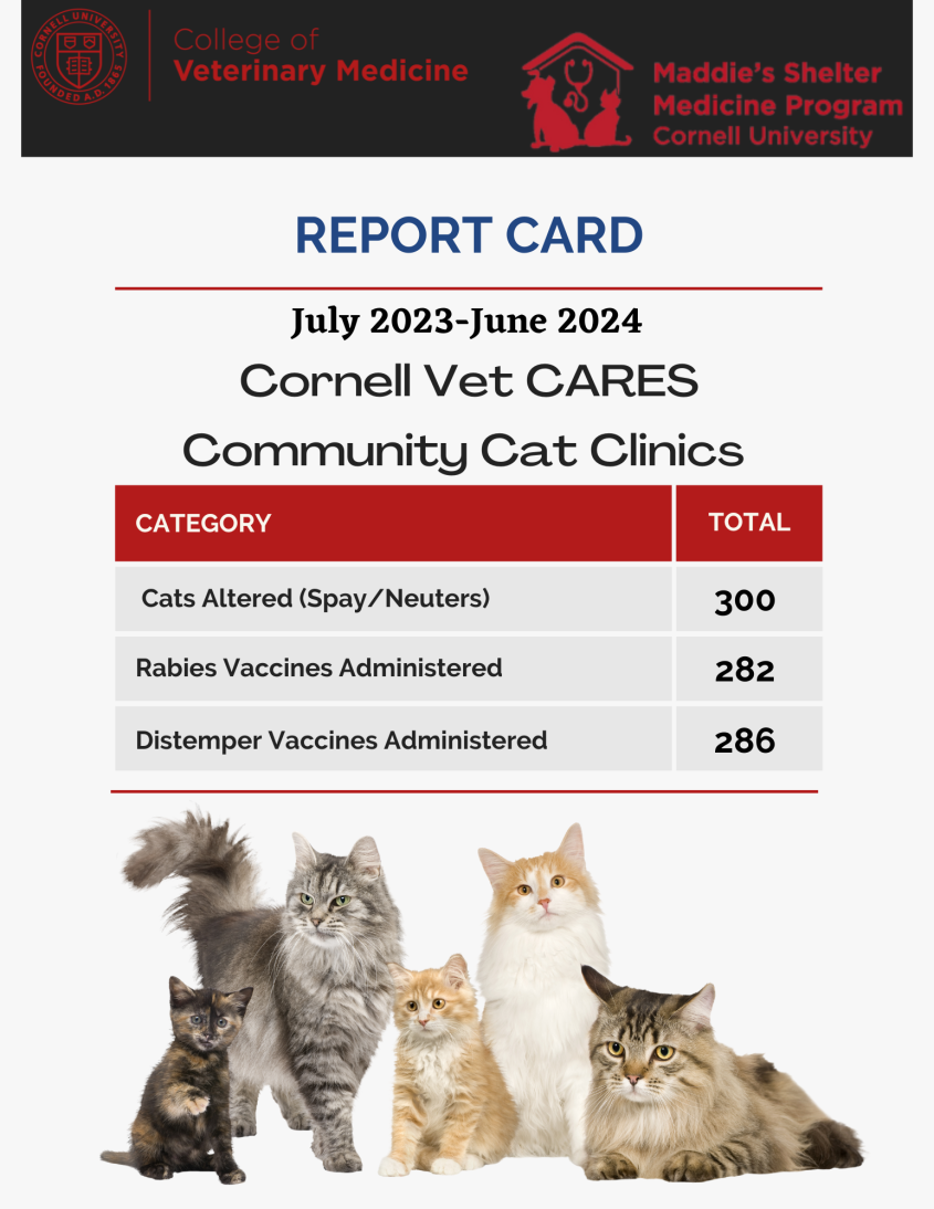 July 2023-June 2024 Cat Clinic Report Card 