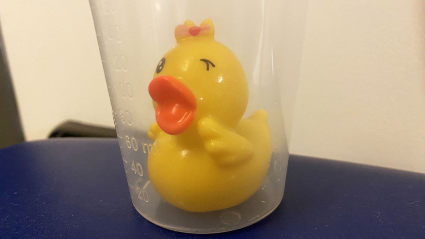 The rubber duck extracted from Maisie placed in a plastic cup