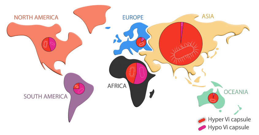 A map of the world showing the proportion of genetic variants per continent