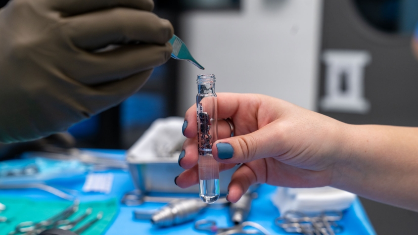 Two hands prepping a sterile metal implant