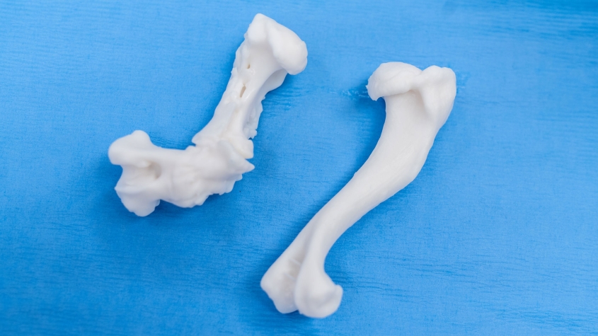 The 3D printed bones