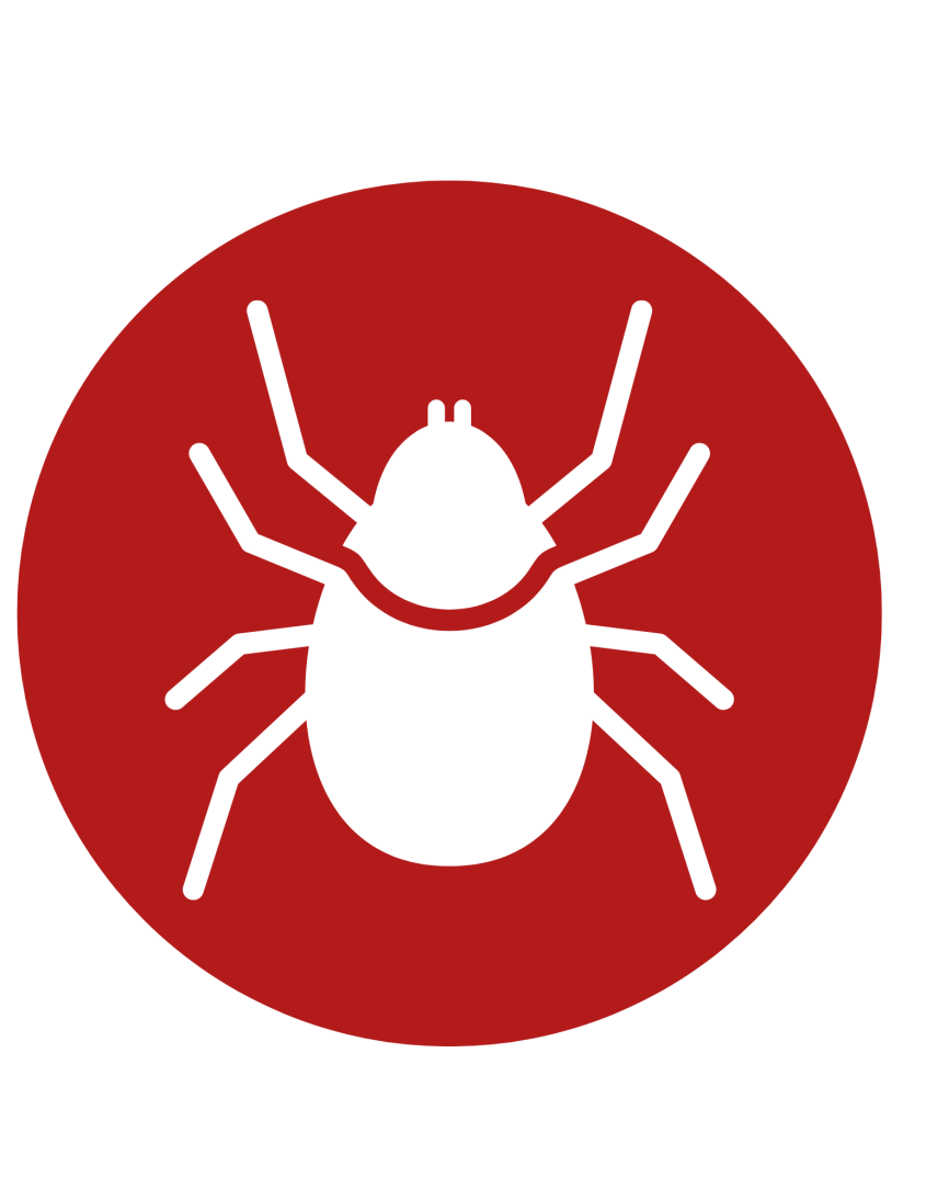 Icon of a tick