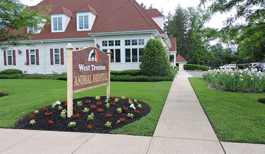 Exterior shot of the West Trenton Animal Hospital