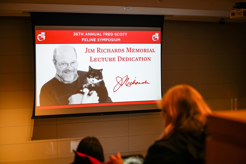 A large screen in a  CVM lecture hall displays a slide dedicated to Dr. Jim Richards, former director of the Cornell FHC. 