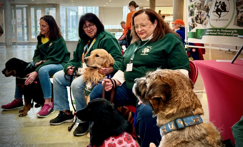 Cornell Companions volunteers and dogs