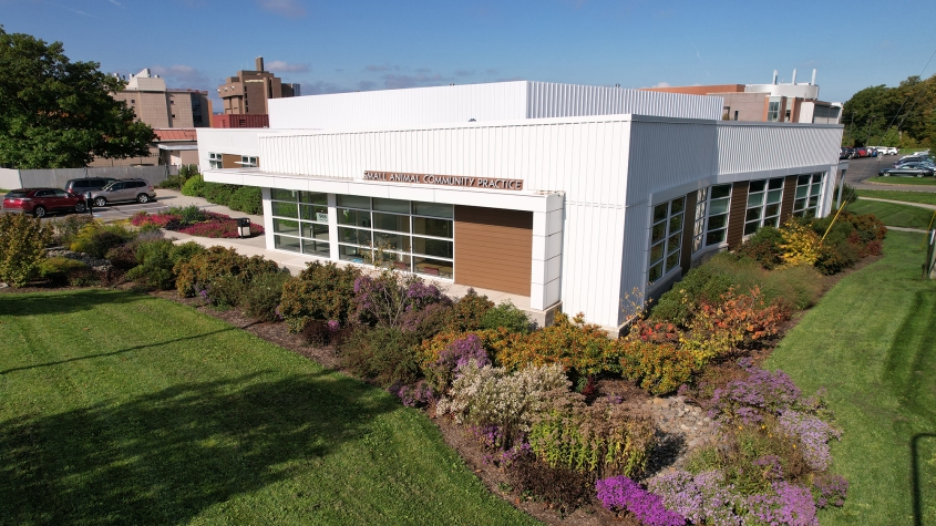 Exterior shot of the community practice in June, with a flowery garden and blue sky