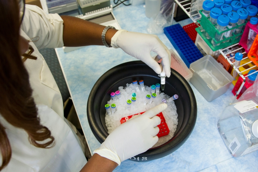 A researcher with samples and tubes