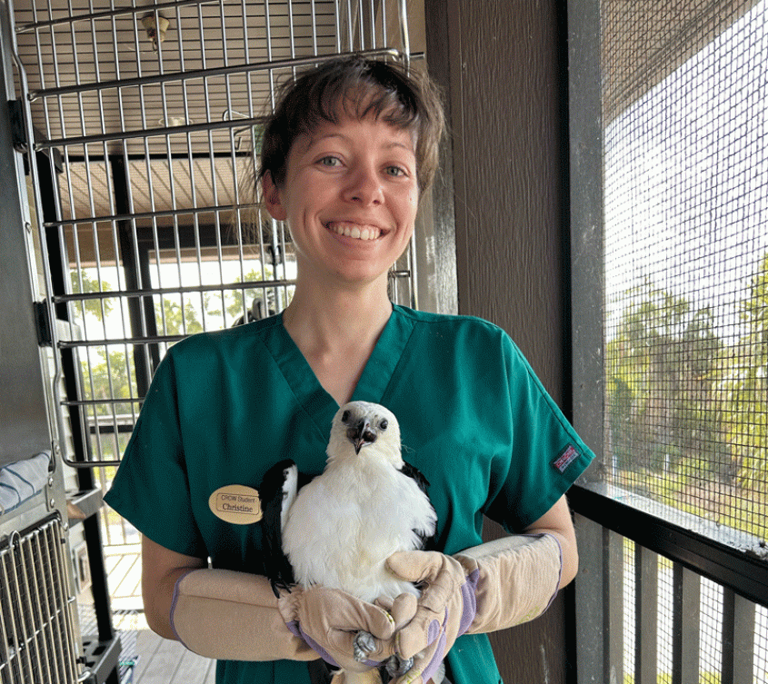 student holding bird of prey