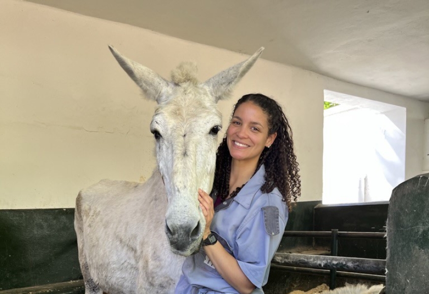 Veterinary student and white mule