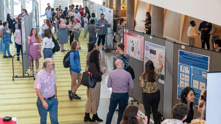 A bird's view of the poster session