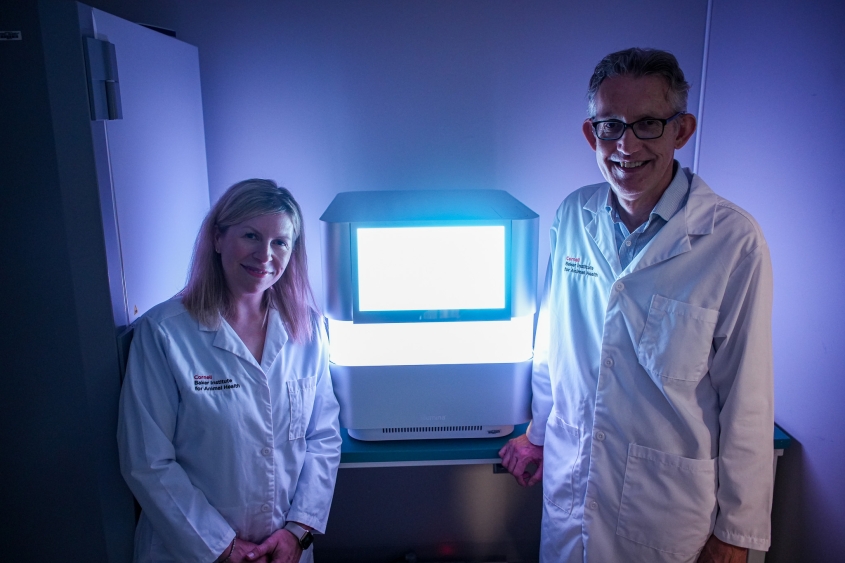 A man and woman stand in the glow of a piece of lab equipment at the Baker Institute. 