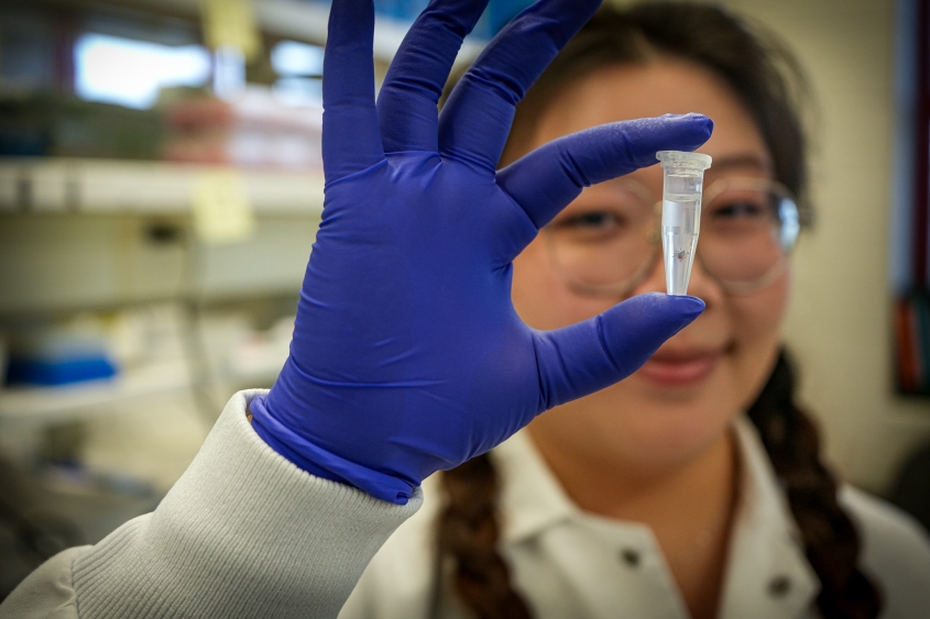 A member of the Goodman Lab holds up a tick in a clear container. 