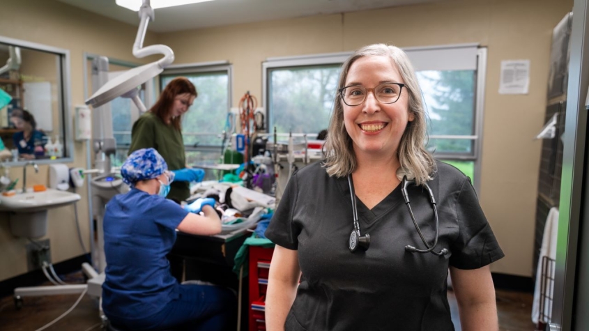 Jessica Reed in shelter operating room