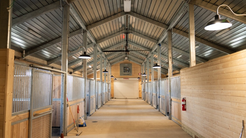 The interior of the new barn at the equine park