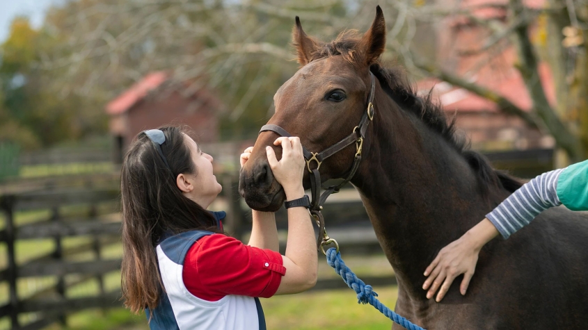 A resident nuzzles a horse at the Equine Park