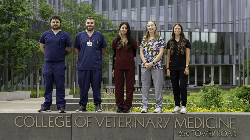 Five LVT interns for 2024 stand on top of the college's sign