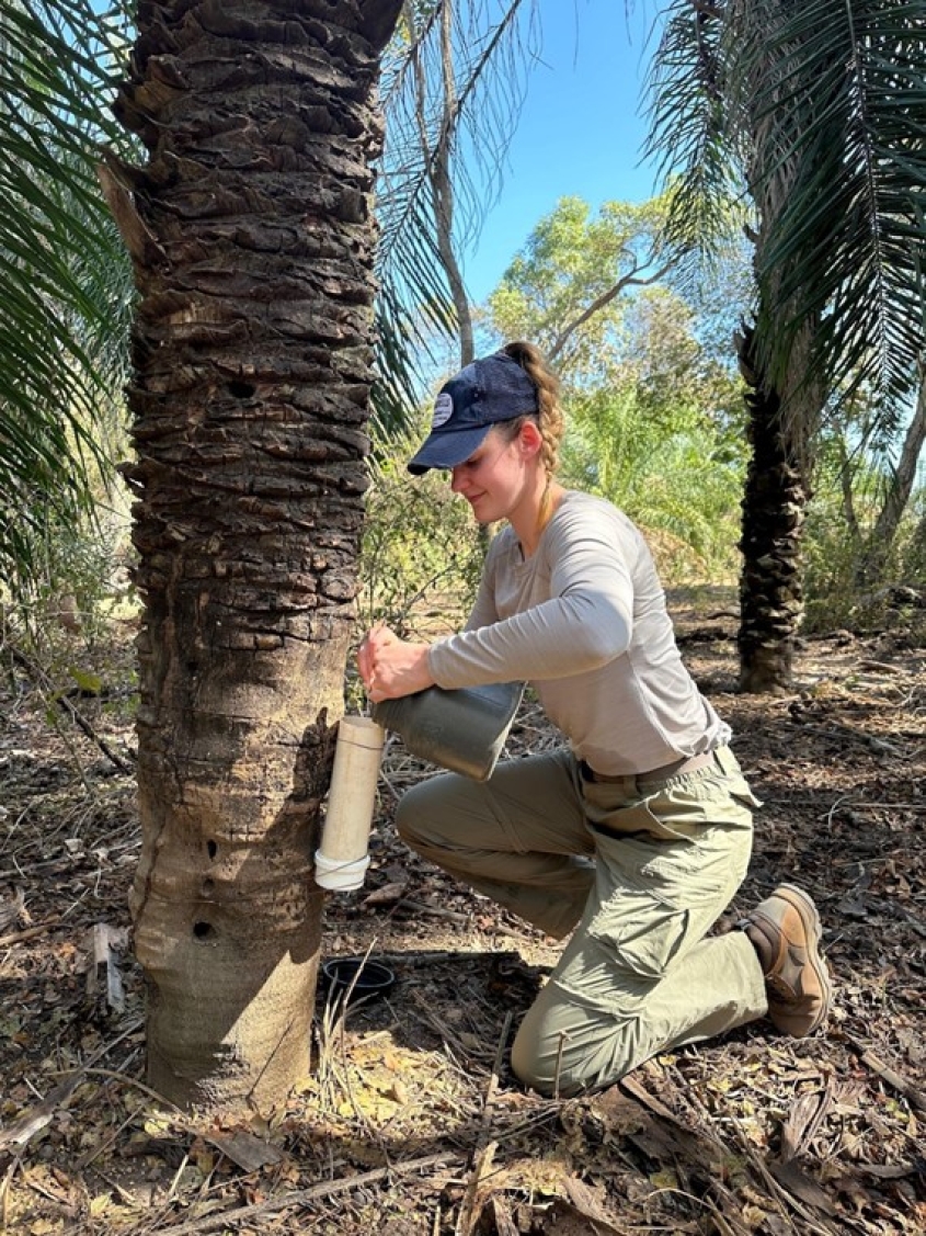 Student kneeling next to palm tree